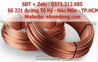 Cáp đồng trần M25