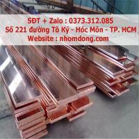 Đồng thanh cái 20x80mm
